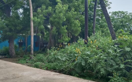 Land for sale