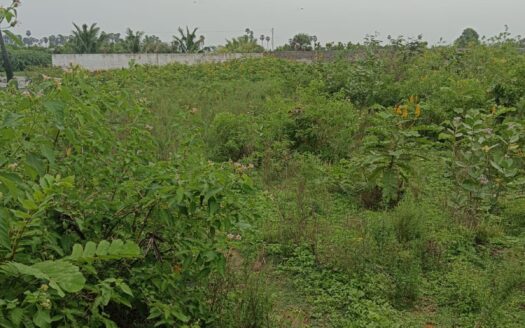 Land for sale