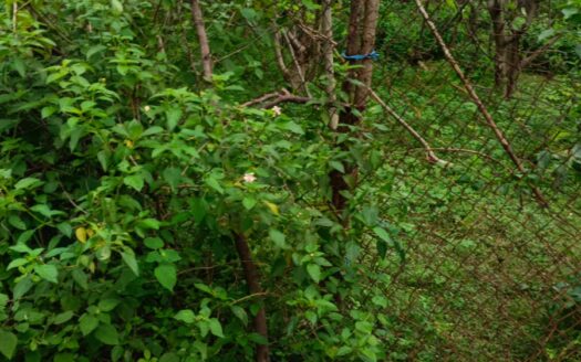 ECR Thiruvidanthai 4800sqft Land For Sale