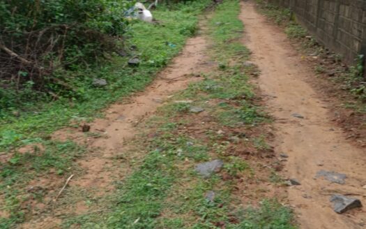 ECR Thiruvidanthai 4800sqft Land For Sale