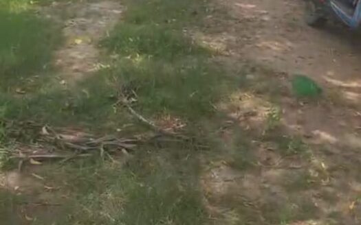 Land For Sale In Sulerikadu 5563sqft
