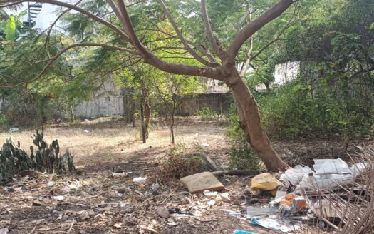ECR Neelankarai 7200 sqft Land For Sale