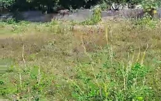 ECR Vadanemmali 11310 sqft Land For Sale