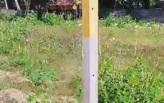 ECR Vadanemmali 11310 sqft Land For Sale