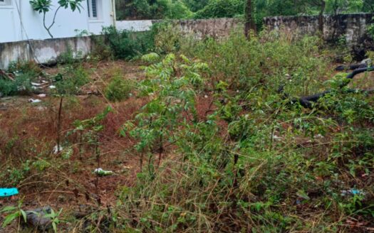 ECR Nemmeli 2400 sqft Land For sale