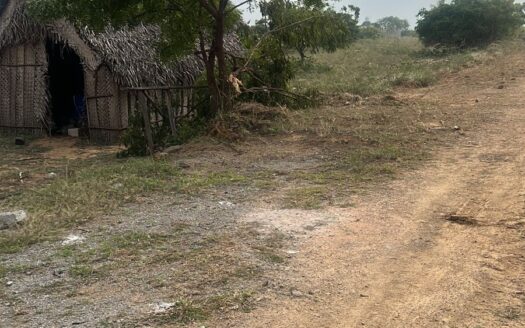 ECR Mahabalipuram 12000 sqft Land For Sale
