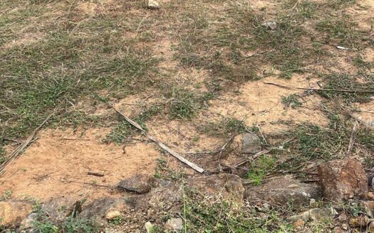 ECR Mahabalipuram 12000 sqft Land For Sale