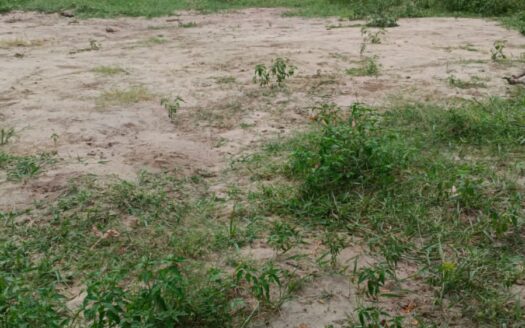 ECR Mahabalipuram 140910 sqft Land For Sale