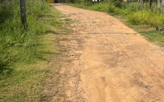 ECR Kovalam 3600 Sqft Land For Sale