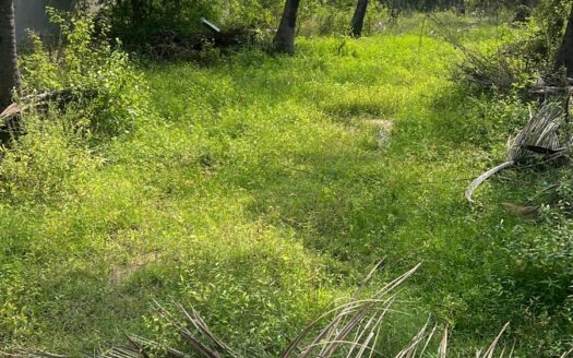 ECR Kovalam 3600 Sqft Land For Sale