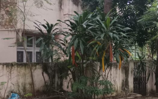 ECR Adyar 3300 sqft House for Sale