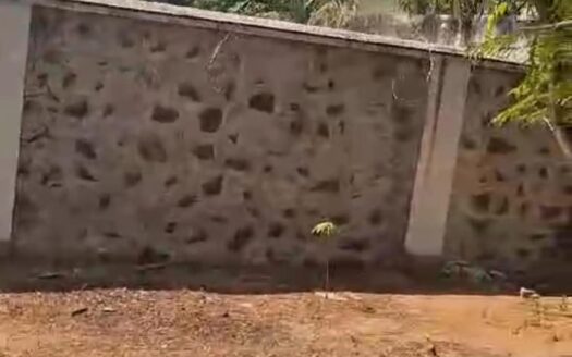 ECR Panaiyur Modern Layout 4800Sqft Land For Sale