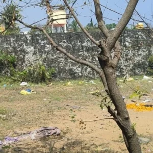 Ecr Kanathur 1200sqft Land for Sale