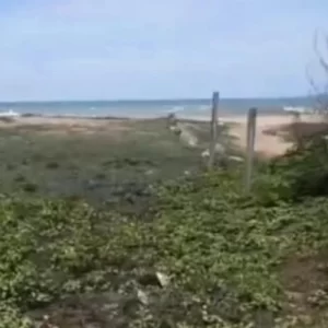 Ecr Mahabalipuram 12000 sqft Land for Sale