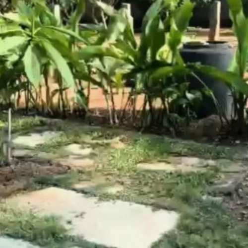 Ecr Mahabalipuram 14400 Sqft House for Sale