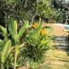 Ecr Mahabalipuram 14400 Sqft House for Sale