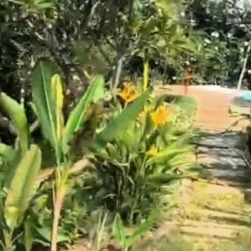 Ecr Mahabalipuram 14400 Sqft House for Sale