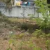 Ecr Uthandi 2600 Sqft Land for Sale