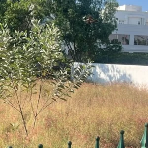 Ecr Muttukadu 4800sqft Land for Sale