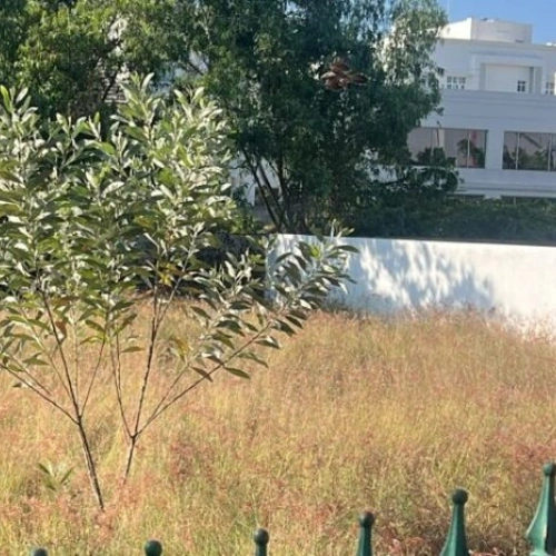 Ecr Muttukadu Land for Sale