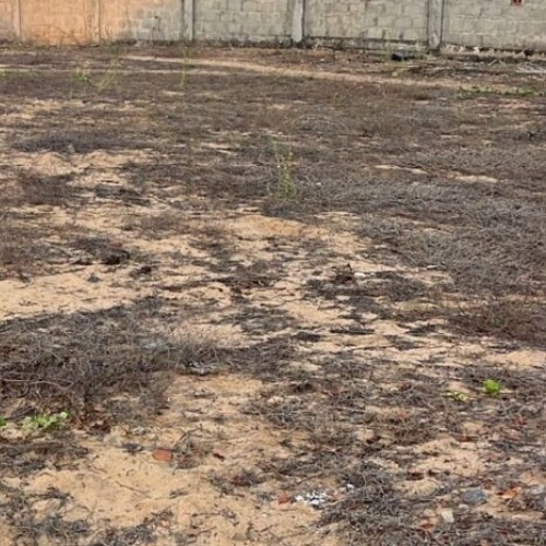 Ecr Nemmeli 9600sqft Land for Sale