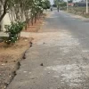 Ecr Nemmeli 9600sqft Land for Sale