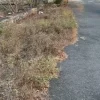 Ecr Nemmeli 9600sqft Land for Sale