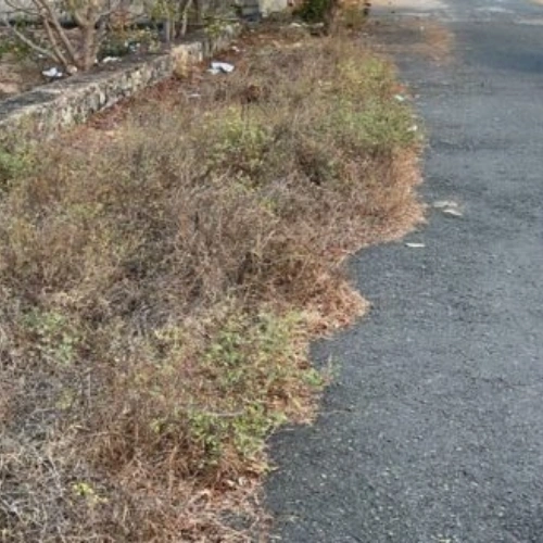 Ecr Nemmeli 9600sqft Land for Sale