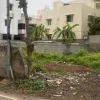 Ecr Palavakkam 4200 Sqft Land for Sale