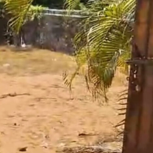Ecr Panaiyur 3000 Sqft Land for Sale