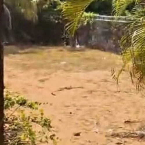 Ecr Panaiyur 3000 Sqft Land for Sale