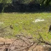 Ecr Panaiyur 7200sqft Land for Sale