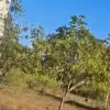Ecr Uthandi 1200 Sqft Land for Sale
