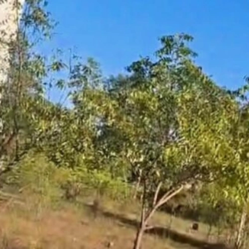 Ecr Uthandi 1200 Sqft Land for Sale