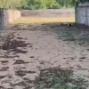 Ecr Uthandi 21000 Sqft Land for Sale