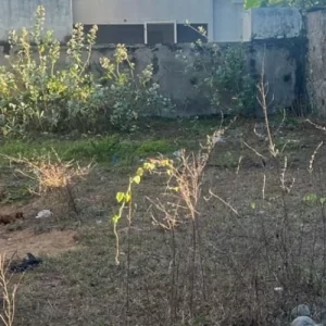 Ecr Uthandi 3000 Sqft Land for Sale