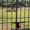 Ecr Uthandi 4800 Sqft Land for Sale