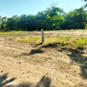 Omr Sholinganallur 6000 Sqft Land for Sale